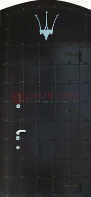 Металлическая арочная дверь ДА-22 высокого качества в Ногинске