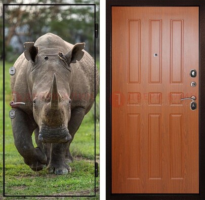 Металлическая дверь с фотопечатью носорога ДФ-31 в Лосино-Петровсом