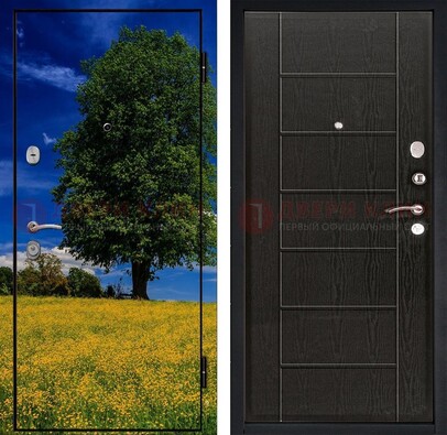 Железная дверь с фотопечатью дерева в поле ДФ-36 в Лосино-Петровсом