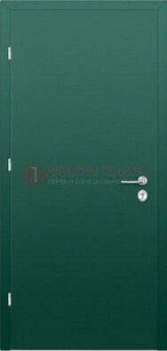 Зеленая стальная дверь с нитроэмалью ДН-6 в Лосино-Петровсом